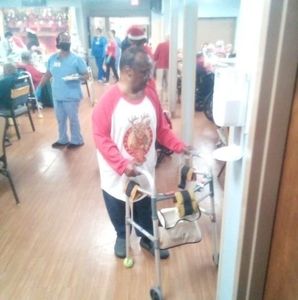 Meet your Posher, Wilbur